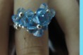 /album/anillos/img-5371-jpg/